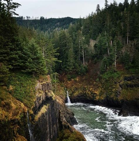 Siuslaw national forest oregon - 48 likes, 1 comments - land_of_the_lostgirl on February 18, 2023: "Side by side waterfalls in the Siuslaw national forest in Oregon 癩 . Don't be a leave no trace ...